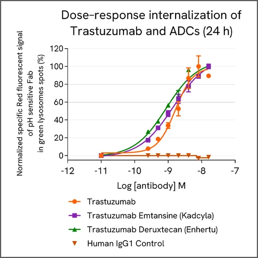 Dose–response analysis of Trastuzumab and antibody–drug conjugates (ADCs) in BT-474 cells after 24 hours.